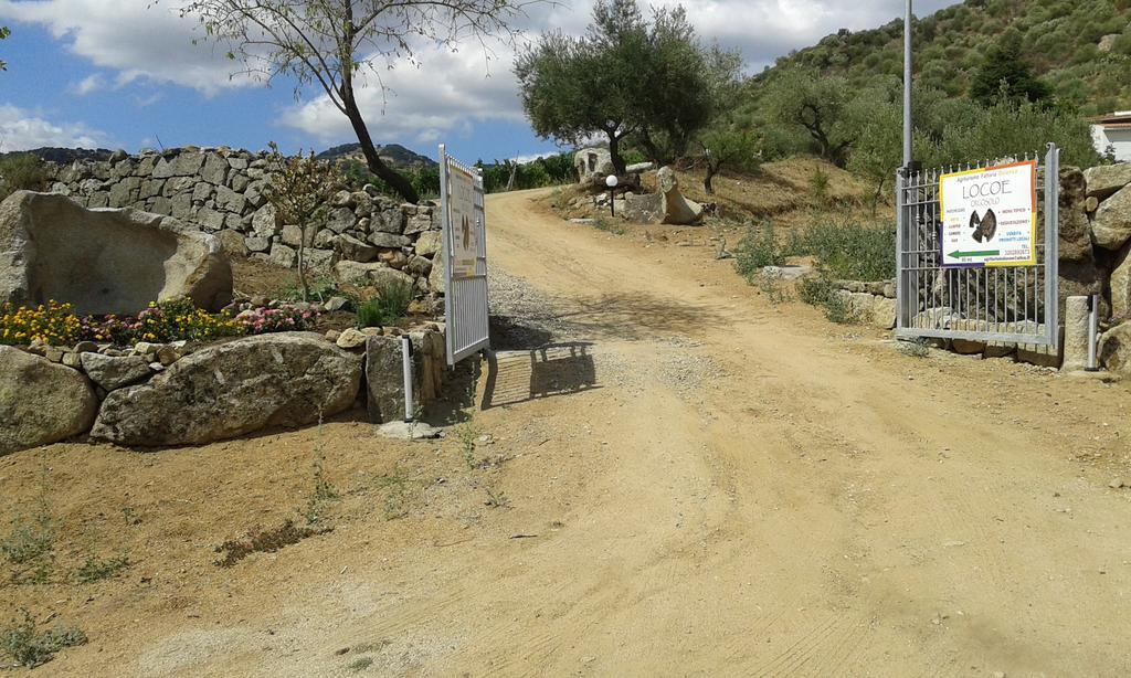 Agriturismo Locoe Олиена Екстериор снимка