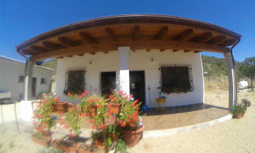 Agriturismo Locoe Олиена Екстериор снимка